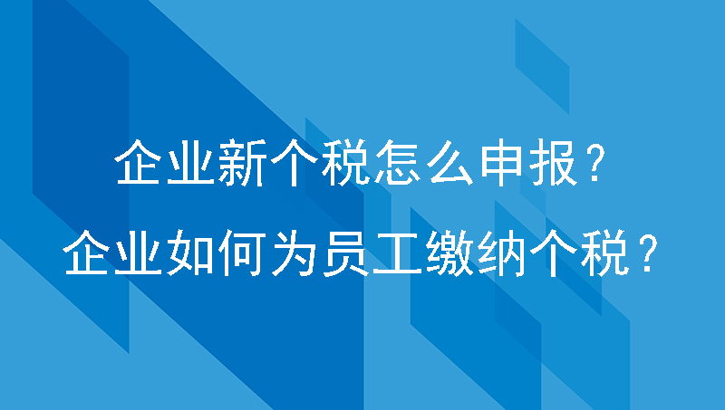 企业新个税怎么申报？企业如何为员工缴纳个税？